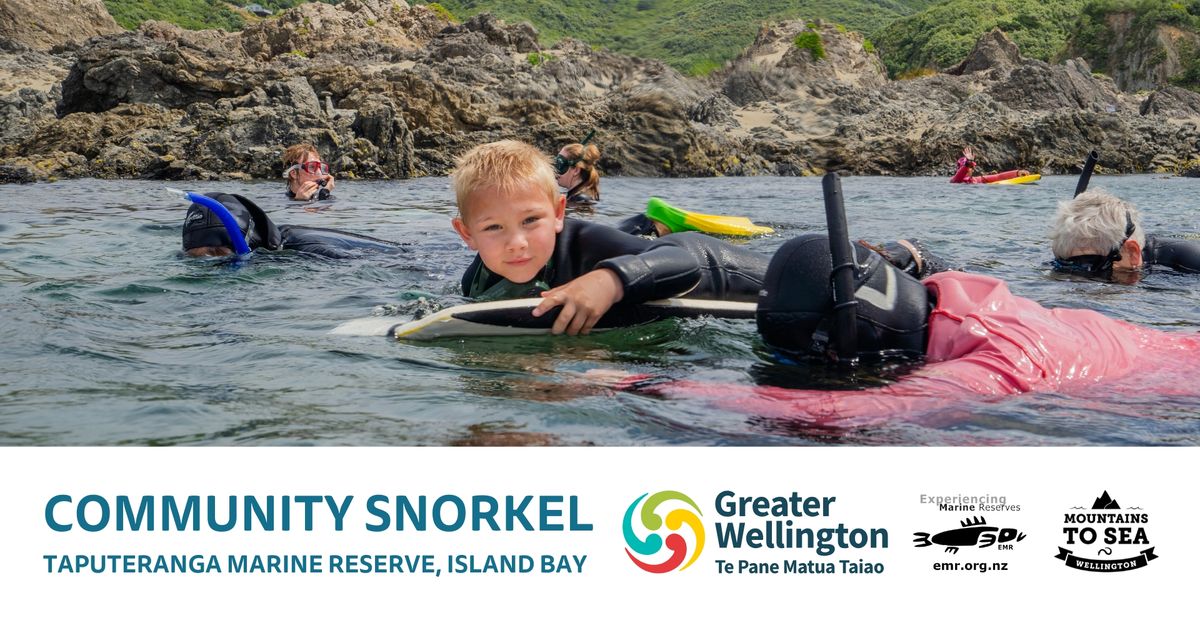 School Holiday Community Snorkel: Taputeranga Marine Reserve