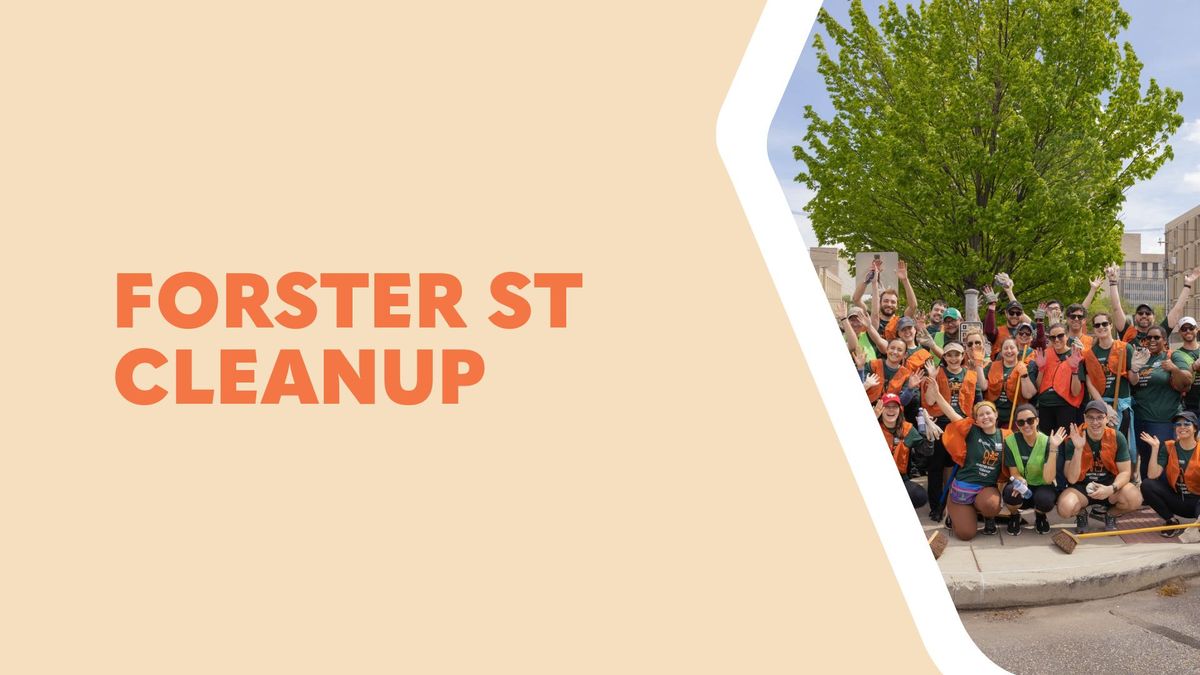 Forster Street Cleanup