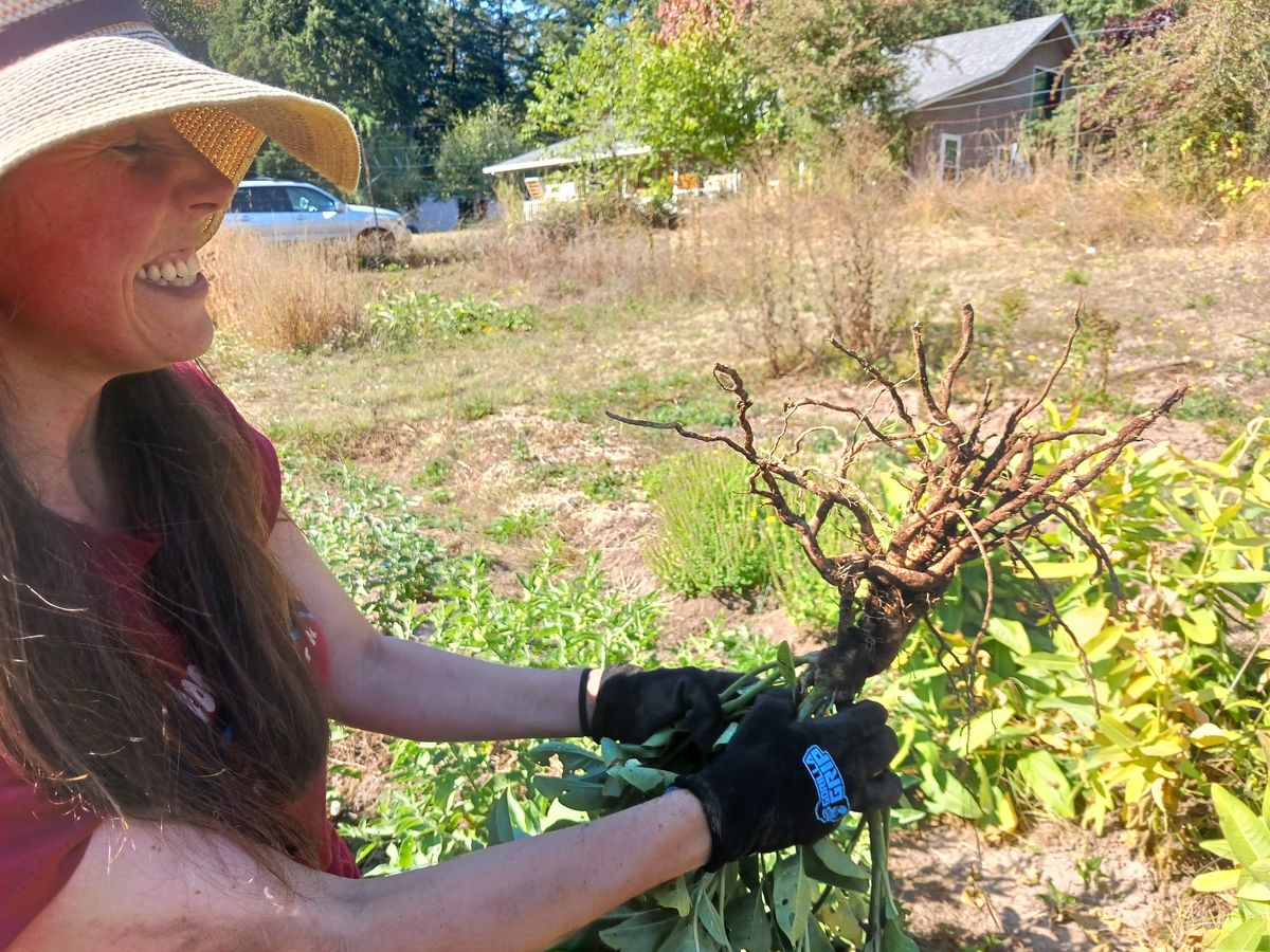 Gardening for Medicine Intensive Series