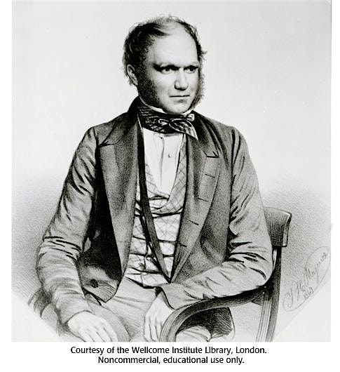 Saturday DNA! Darwin's Adventure