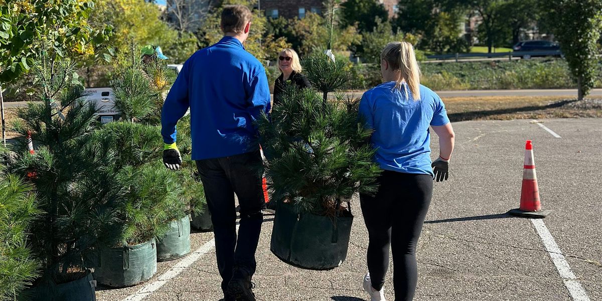 Robbinsdale Fall Tree Distribution