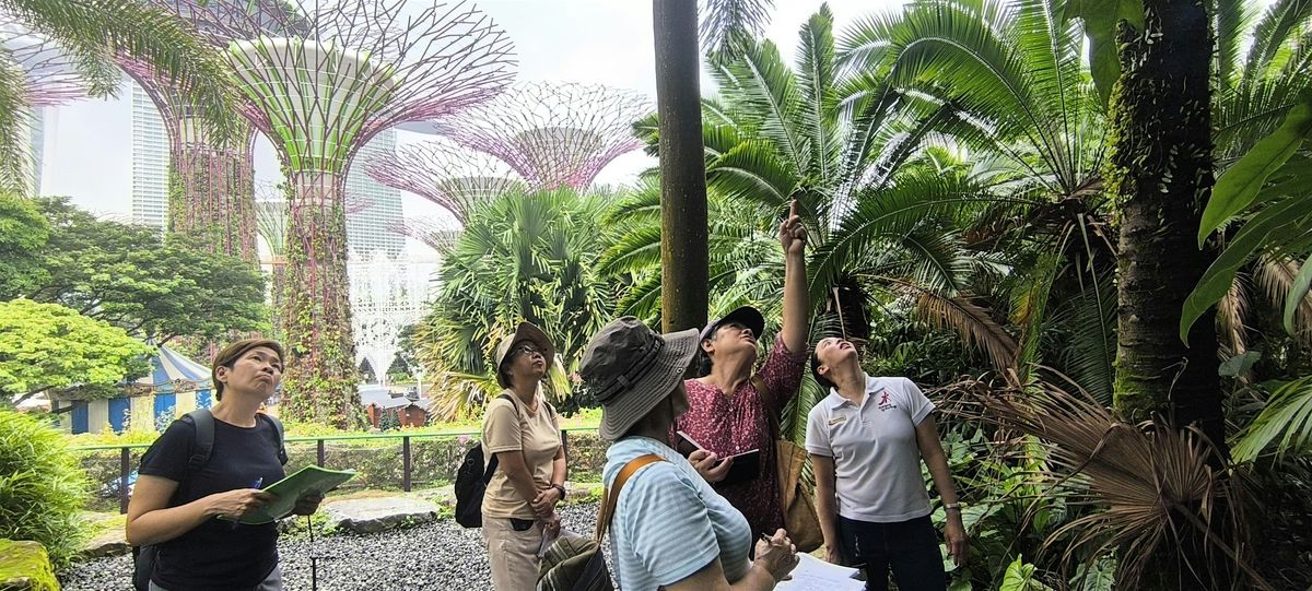 Nature & Sustainability Tour: A Sensory Stroll -Hidden in Plain Sight [Oct]
