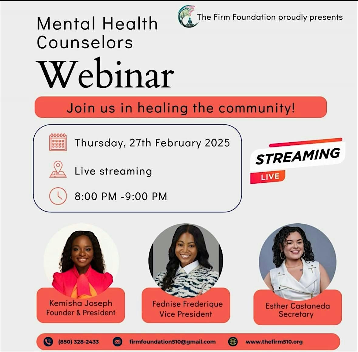 Mental Health Counselors Webinar