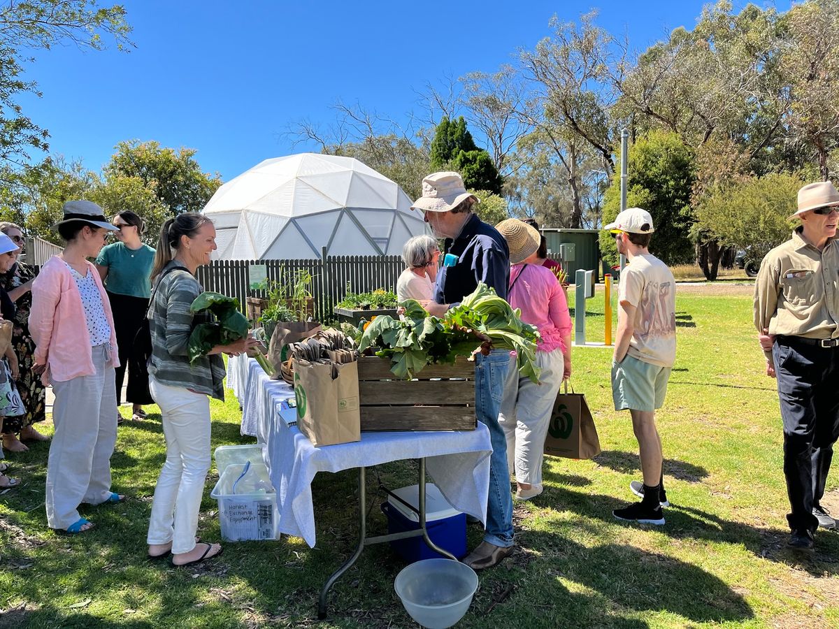 Home harvest exchange - 3rd Thurs of each month