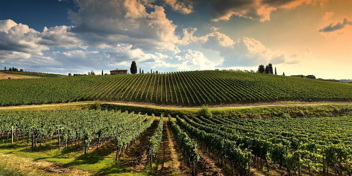 Uncorked: A Tour of Tuscany (Restaurant Edition)