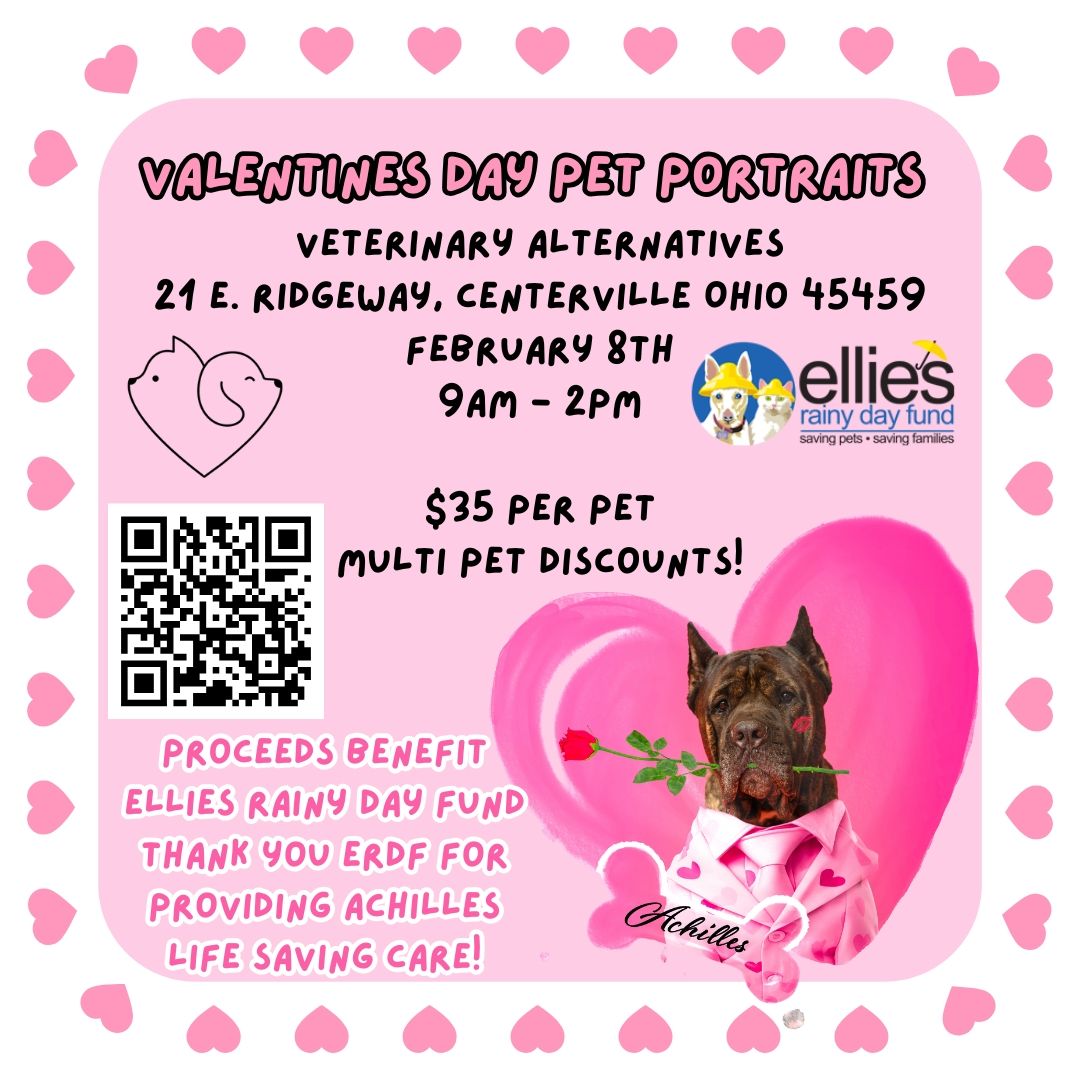 Valentines Day Pet Portraits at Veterinary Alternatives Benefiting Ellies Rainy Day Fund 