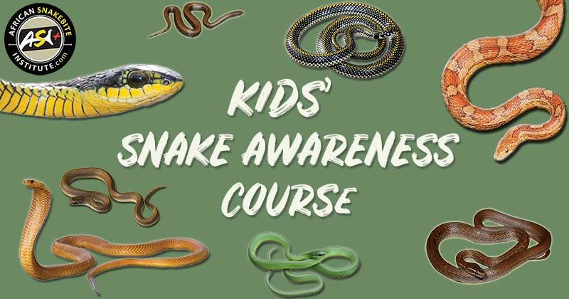 Kids' Snake Awareness course