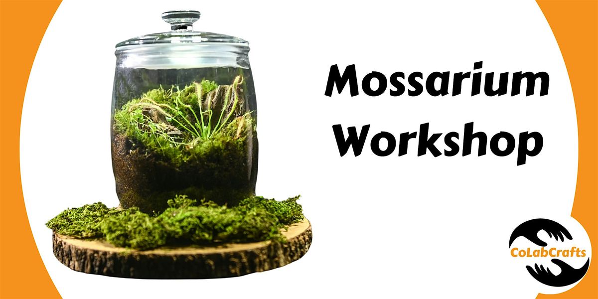 Mossarium Workshop