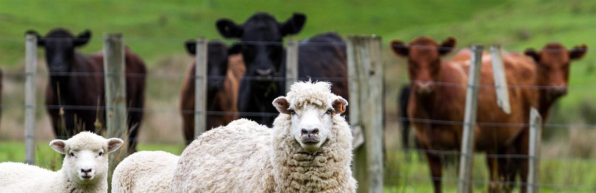 Backyard Basics: Intro to Small Scale Livestock Production