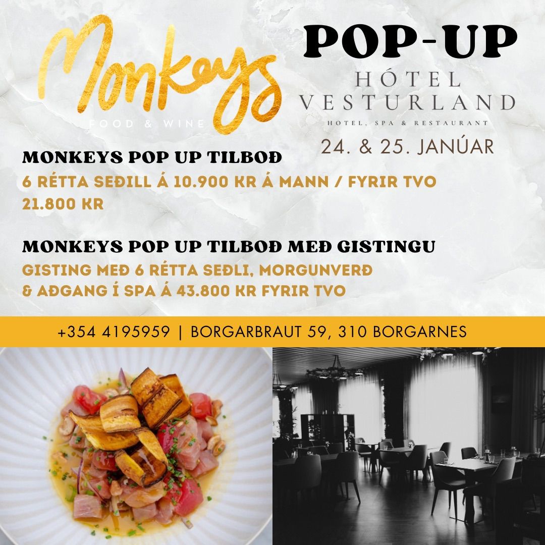 Monkeys kemur me\u00f0 POP-UP \u00e1 H\u00f3tel Vesturland!