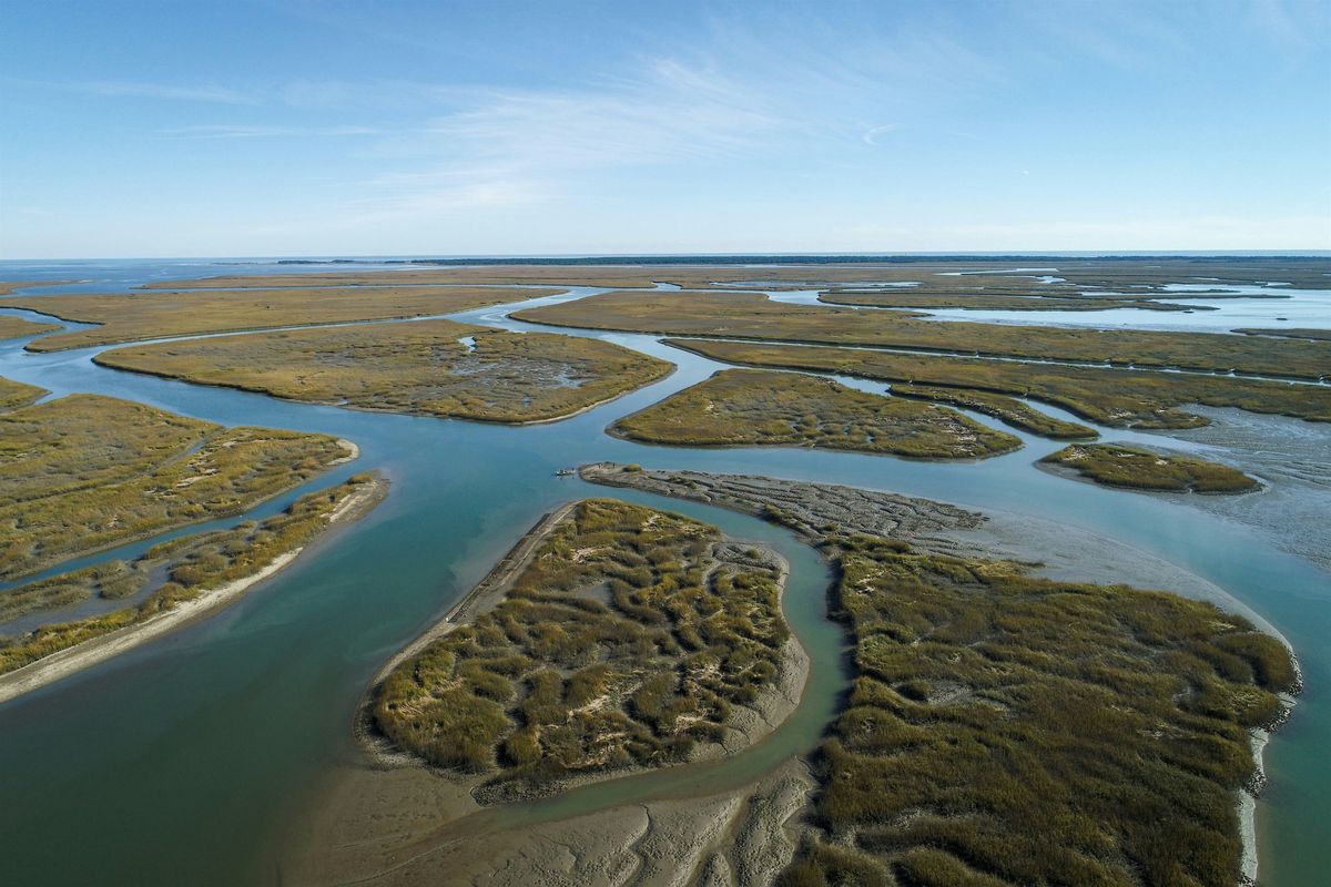 Final Marsh Migration Stakeholder Meeting