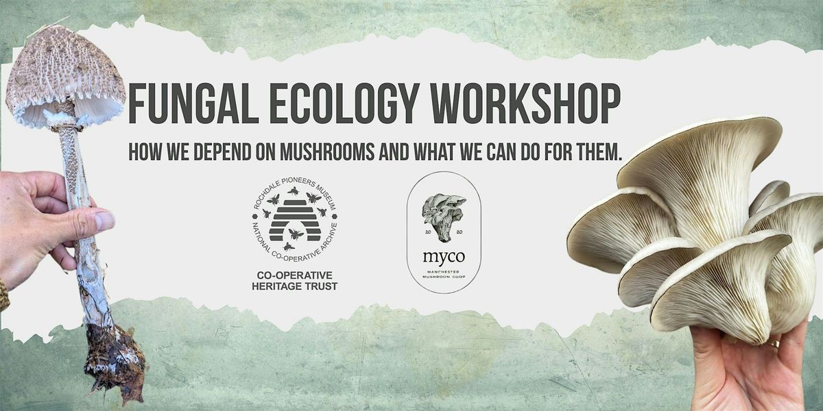 Fungal Ecology Workshop with Myco: Manchester Mushroom Co-operative