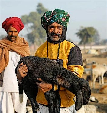 PANEL DISCUSSION \u2013 Pastoral Heritage Today: From Rajasthan to Somalia