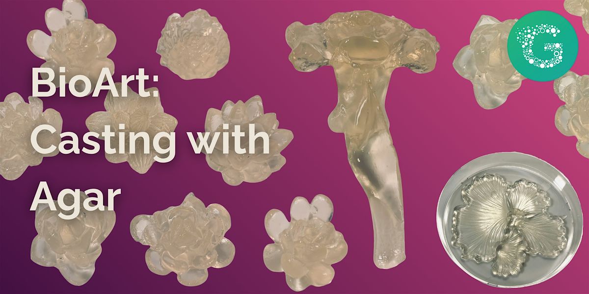 BioArt: Casting with Agar