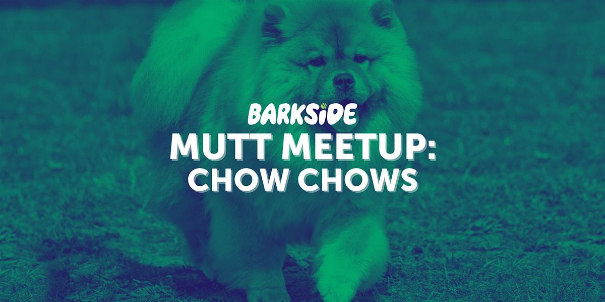 Mutt Meetup: Chow Chows