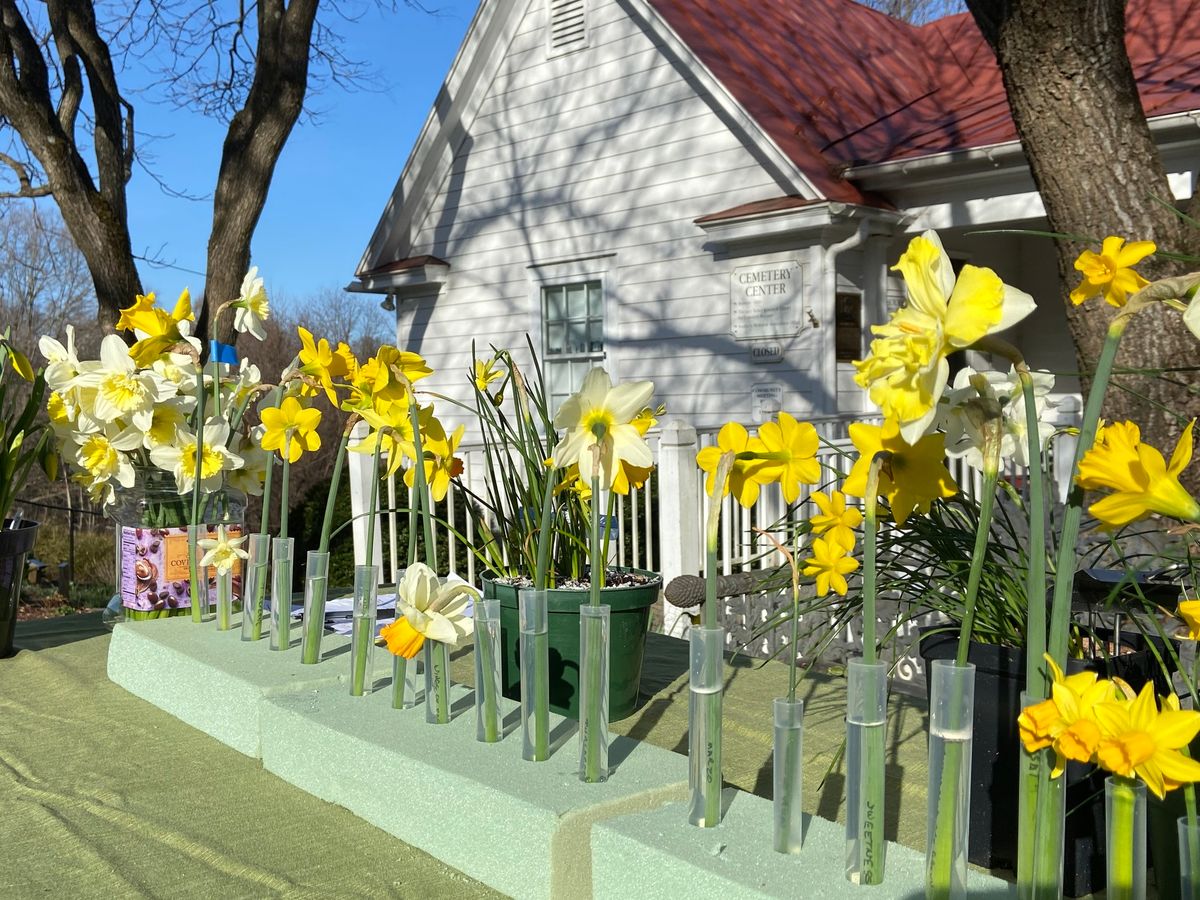 Historic Daffodil Talk & Tour