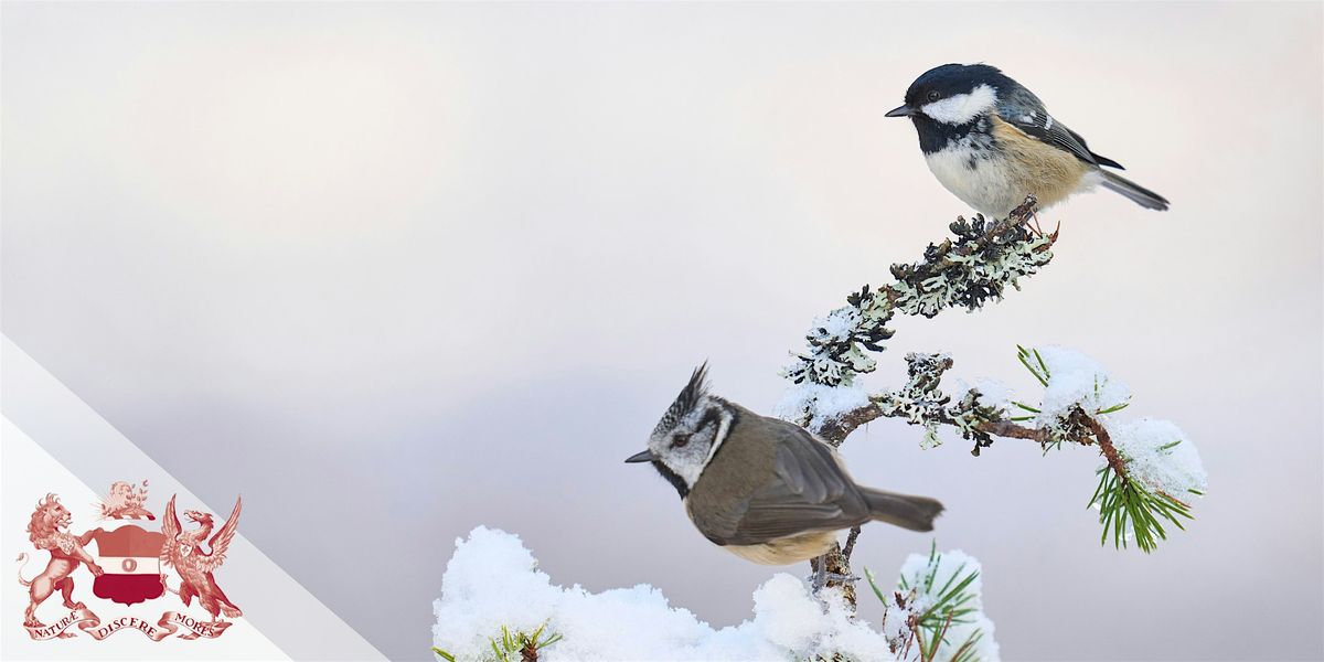 Hybrid Day Meeting | Organismal Resilience in a Rapidly Changing World