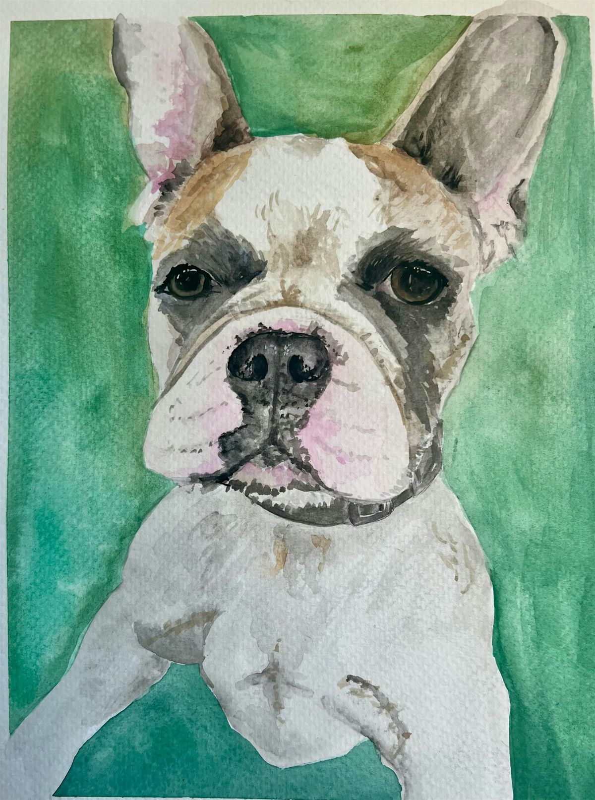 Paint & Sip Pet Portraits