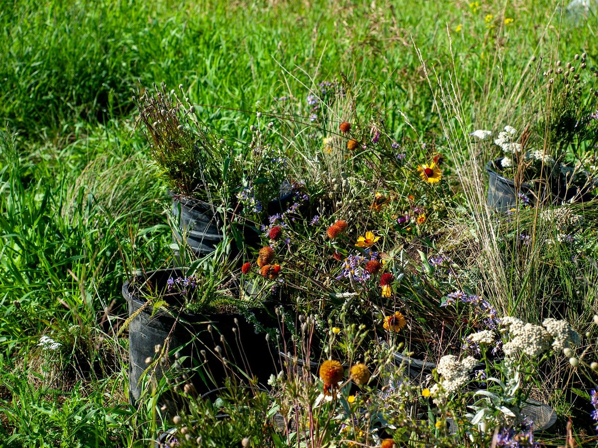 Speaker Series - Plant rescue and Species Diversity