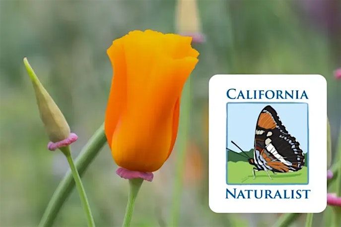 UC Environmental Stewards: California Naturalist Certification Course