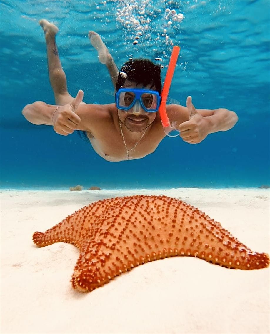 Cozumel El Cielo Snorkeling on the Budget