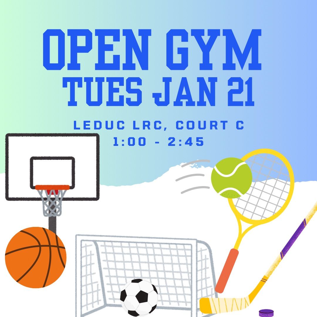 January 21 Open Gym @ LRC