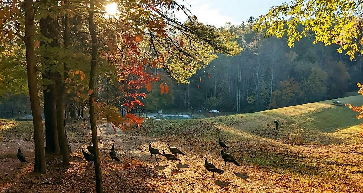 Thanksgiving Day Feast at Kangua