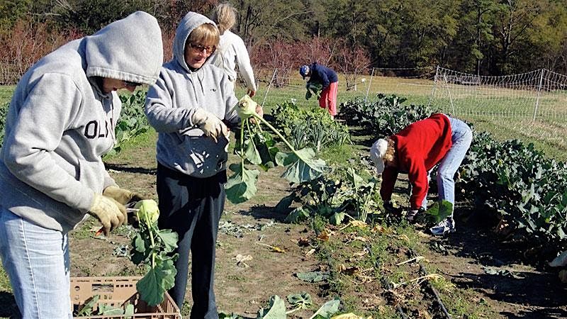 Saturday Volunteer & Learning Day on the Souper Farm 12\/7