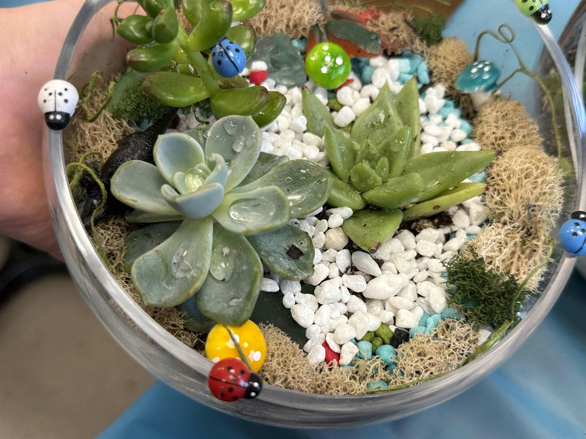 Gnome Terrarium Time