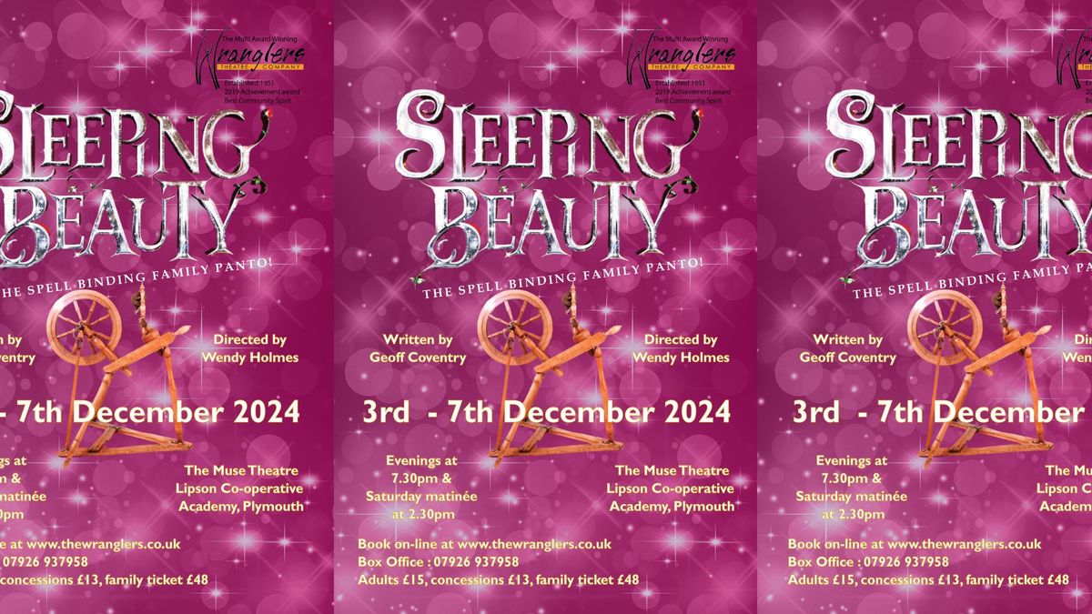 Sleeping Beauty - A Spellbinding Family panto