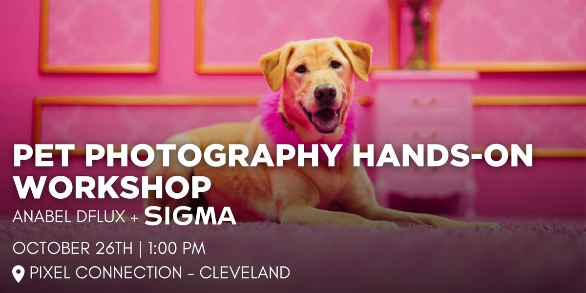 The Ultimate Pet Photography Workshop with Sigma - Pixel Connection - CLE