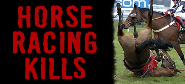 Protest the Grand National