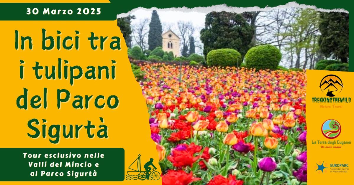 In bici tra i tulipani del Parco Sigurt\u00e0