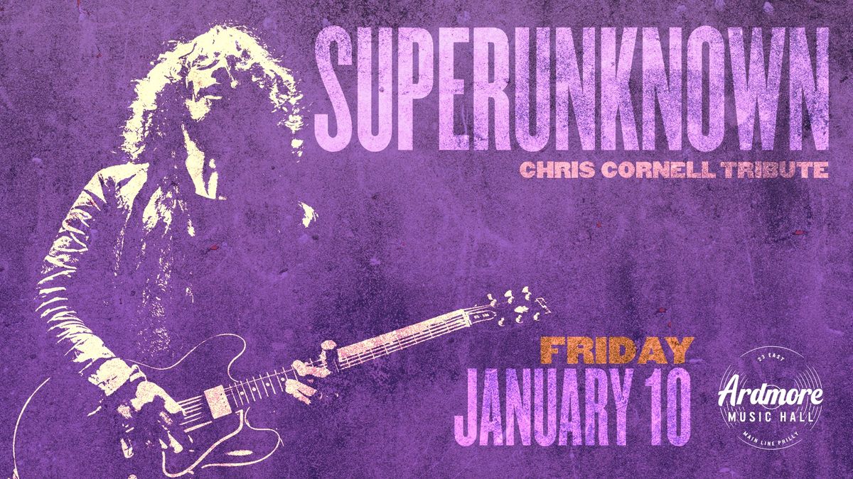 Superunknown (Chris Cornell Tribute) at Ardmore Music Hall 1\/10