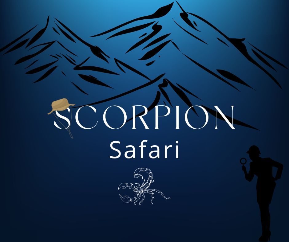 Scorpion Safari 