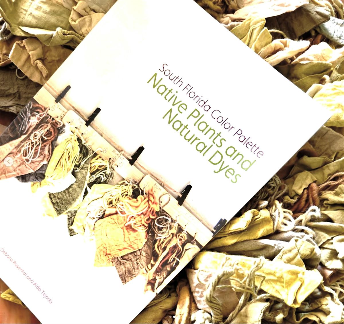 Creative Dyeing and Painting with South Florida Native Plants