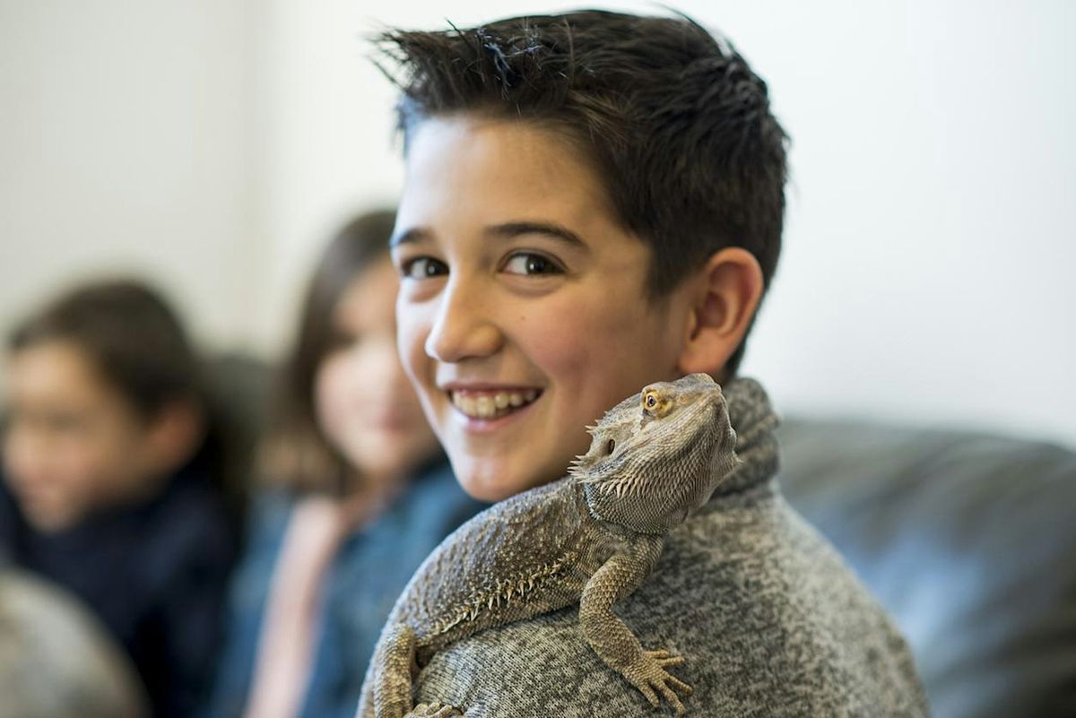 Lizards Up Close