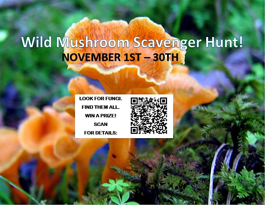 WILD MUSHROOM SCAVENGER HUNT