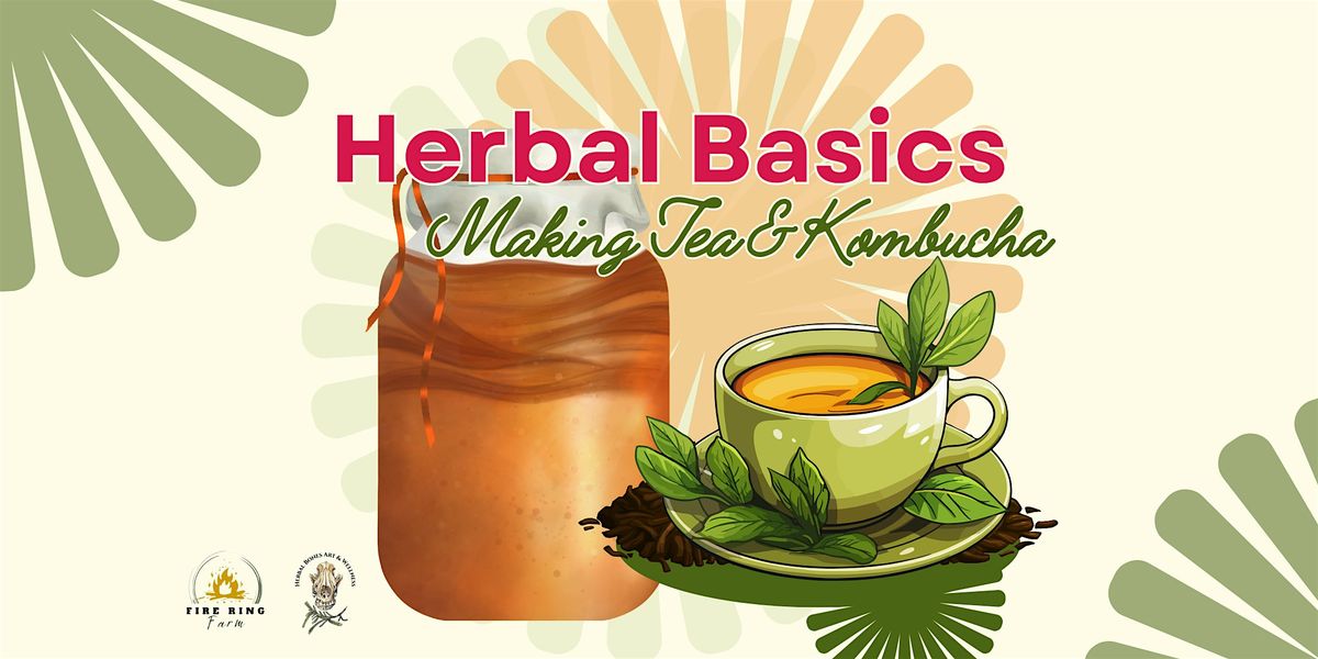 Herbal Basics: Making Tea & Kombucha