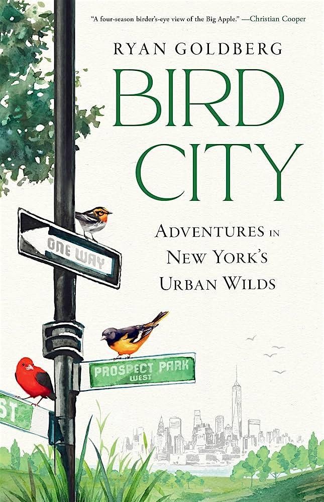 Author Talk: Bird City with Ryan Goldberg