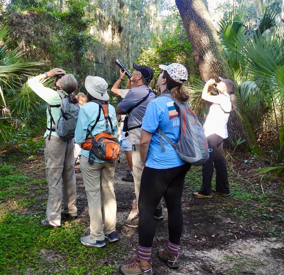 Beginner's Bird Watching Classes