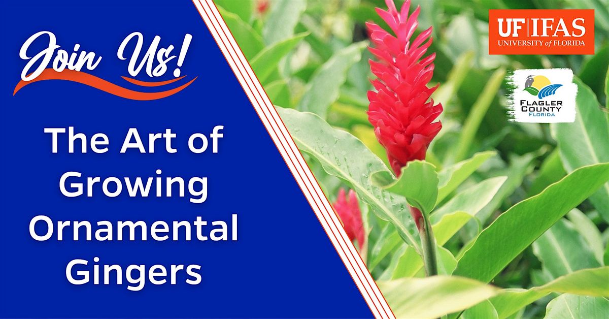 Garden Jewels: The Art of Growing Ornamental Gingers