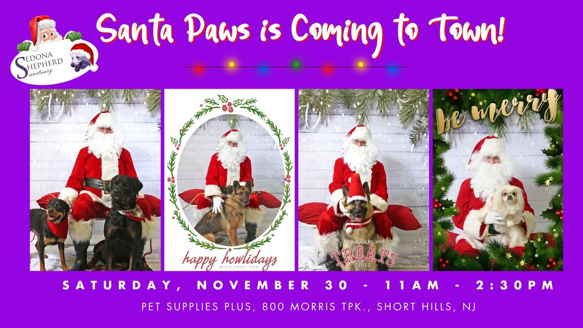 Pictures with Santa Paws