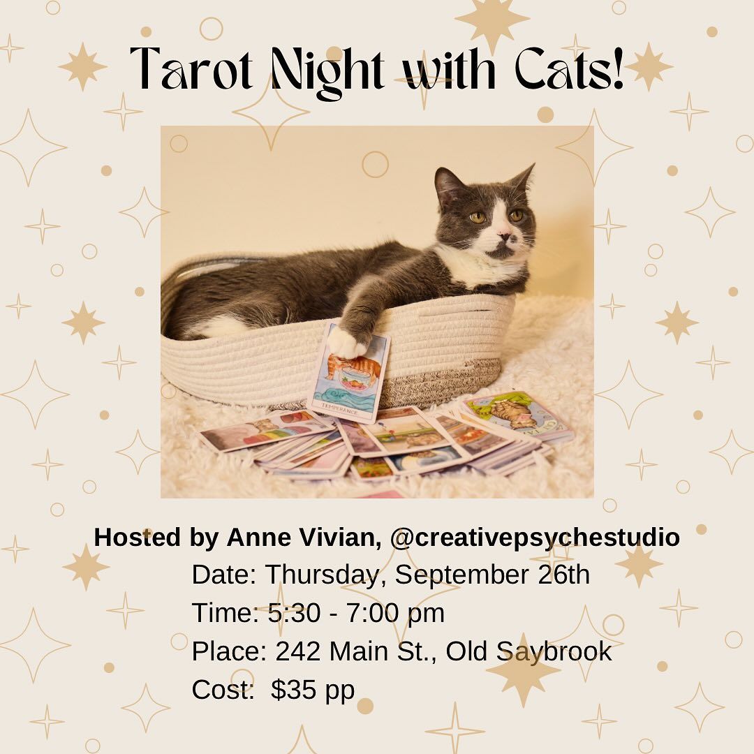 Tarot Night with Cats!