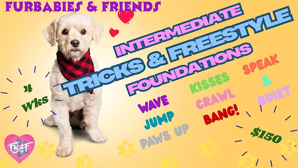 Intermediate Dog Tricks Training Group Class