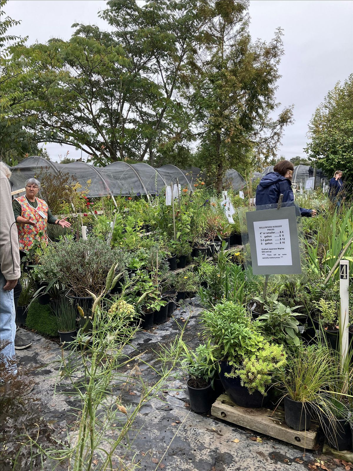 Willowside School Nursery PLANT SALE