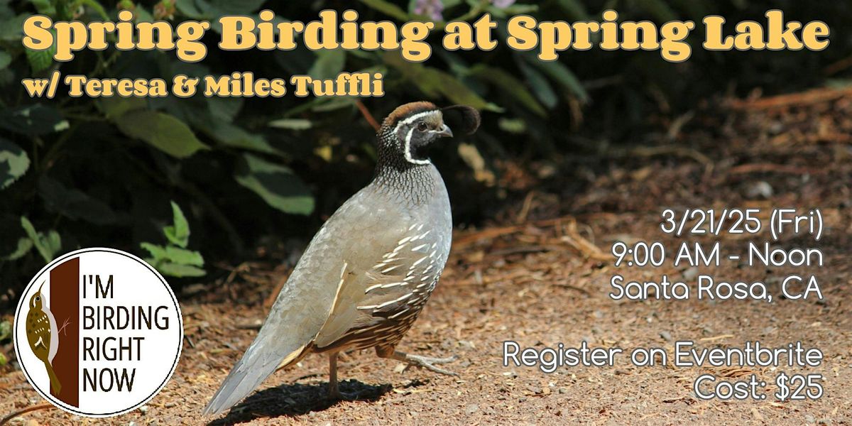 Spring Birding at Spring Lake