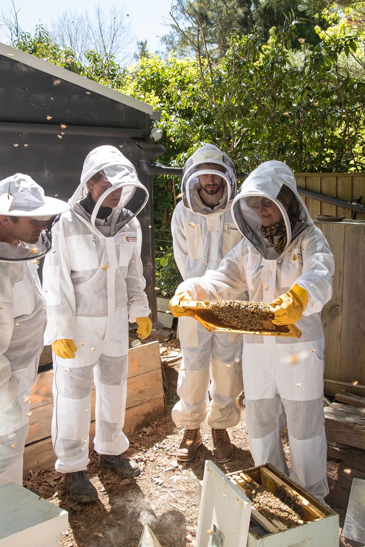 Beginner Bee Keeping Course