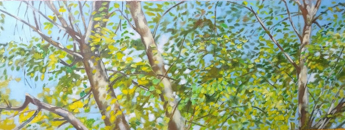 Botanical Painting in the Wissahickon