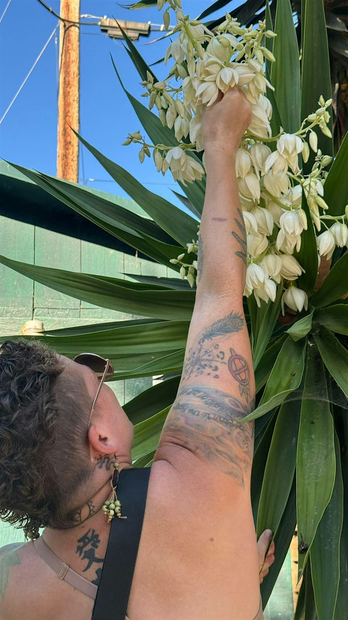 Urban Foraging: Long Beach